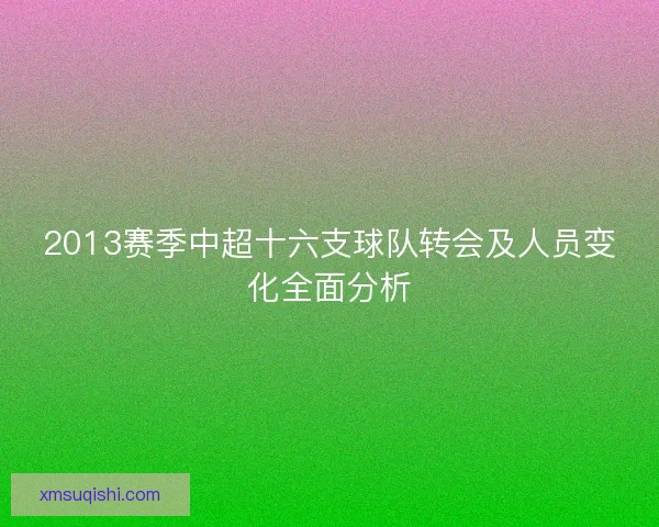 2013赛季中超十六支球队转会及人员变化全面分析